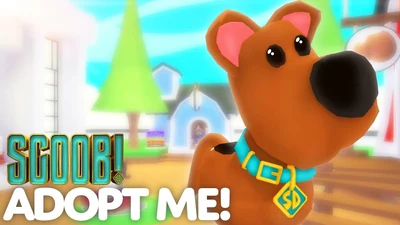 Scoob Event