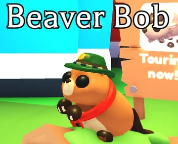 Beaver Bob