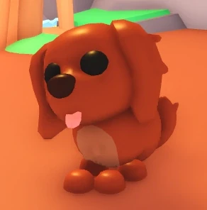 Irish Setter (NPC)