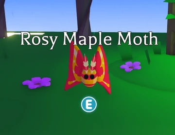 Rosy Maple Moth (NPC)
