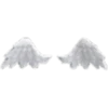 Angel Wings