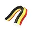Belgium Scarf