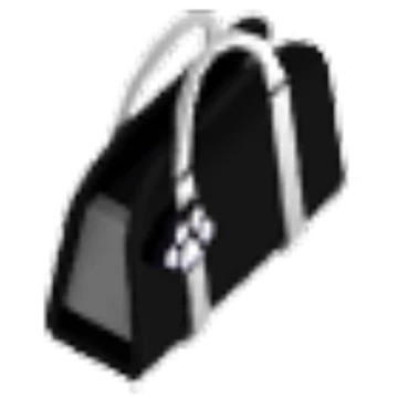 Black Purse