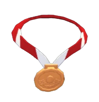 Bronze Medal