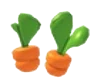 Carrot Sprout