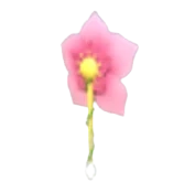 Cherry Blossom Earring