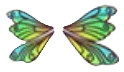 Clubtail Dragonfly Wings