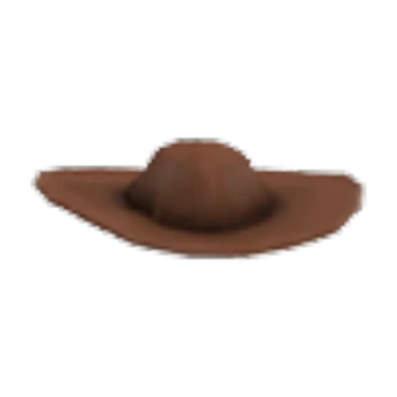 Cowboy Hat