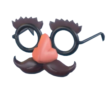Disguise Glasses
