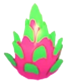 Dragonfruit Feet