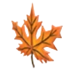 Eco Orange Maple Headpiece