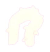 Feather Boa