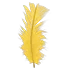 Feather