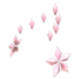 Flower Aura