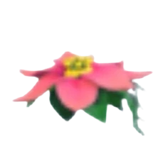 Flower Hair