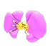 Flower Wings