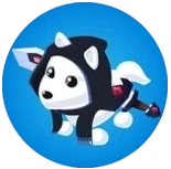 Hero's Costume