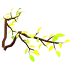 Leaf Wings
