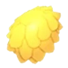 Lion's Mane