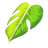 Monstera Leaf Cape