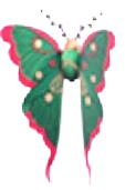 Moth Hair Clip