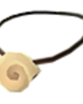 Nautilus Shell Necklace