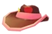 Pink Cowboy Hat
