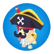 Pirate's Costume