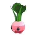 Radish Friend