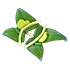 Rain Leaf Wings