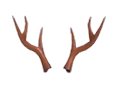 Reindeer Antlers