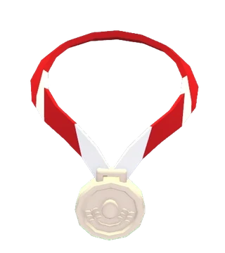 Silver Medal