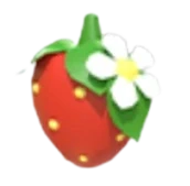 Strawberry Clip