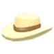 Ten Gallon Hat