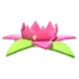 Tropical Flower