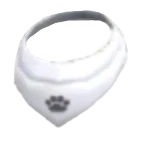 White Bandana