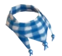 Winter Scarf