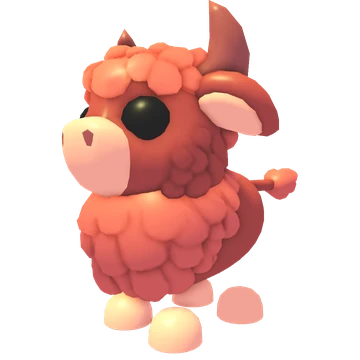 Angus Bull