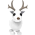 Arctic Reindeer
