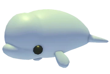 Beluga Whale