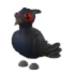 Black-Chested Pheasant