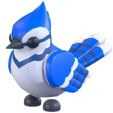 Blue Jay (Pet)