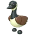 Canadian Goose