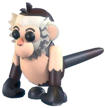 Capuchin Monkey
