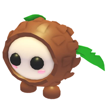 Coconut Friend
