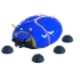 Giant Blue Scarab