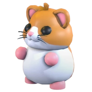 Hamster