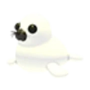 Harp Seal