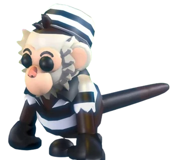 Inmate Capuchin Monkey (Pet)