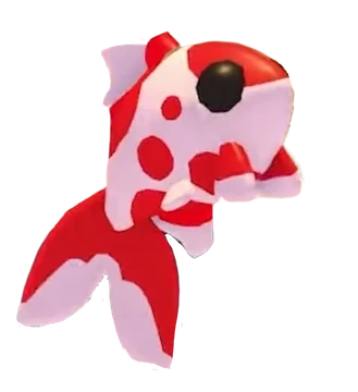 Koi Carp